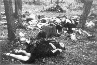 Polacy-pasażerowie pociągu relacji Bełżec-Rawa Ruska zamordowani przez UPA 16 czerwca 1944 r. Fot. http://www.stowarzyszenieuozun.wroclaw.pl/rawa_ruska.htm